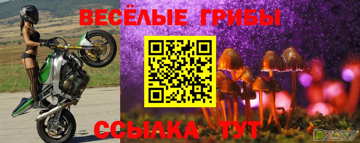 Мариинск  Псилоцибиновые грибы прущие грибы  Вход с VPN 